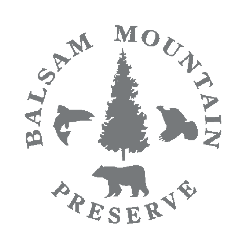 Balsam Mountain Preserve