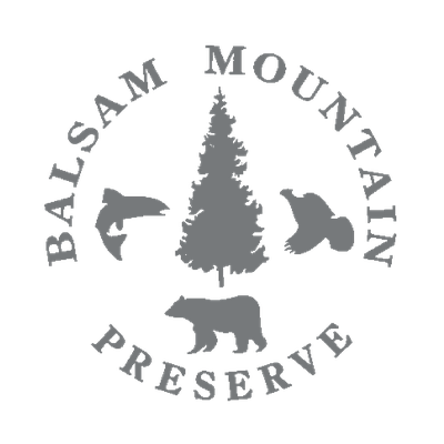 Balsam Mountain Preserve