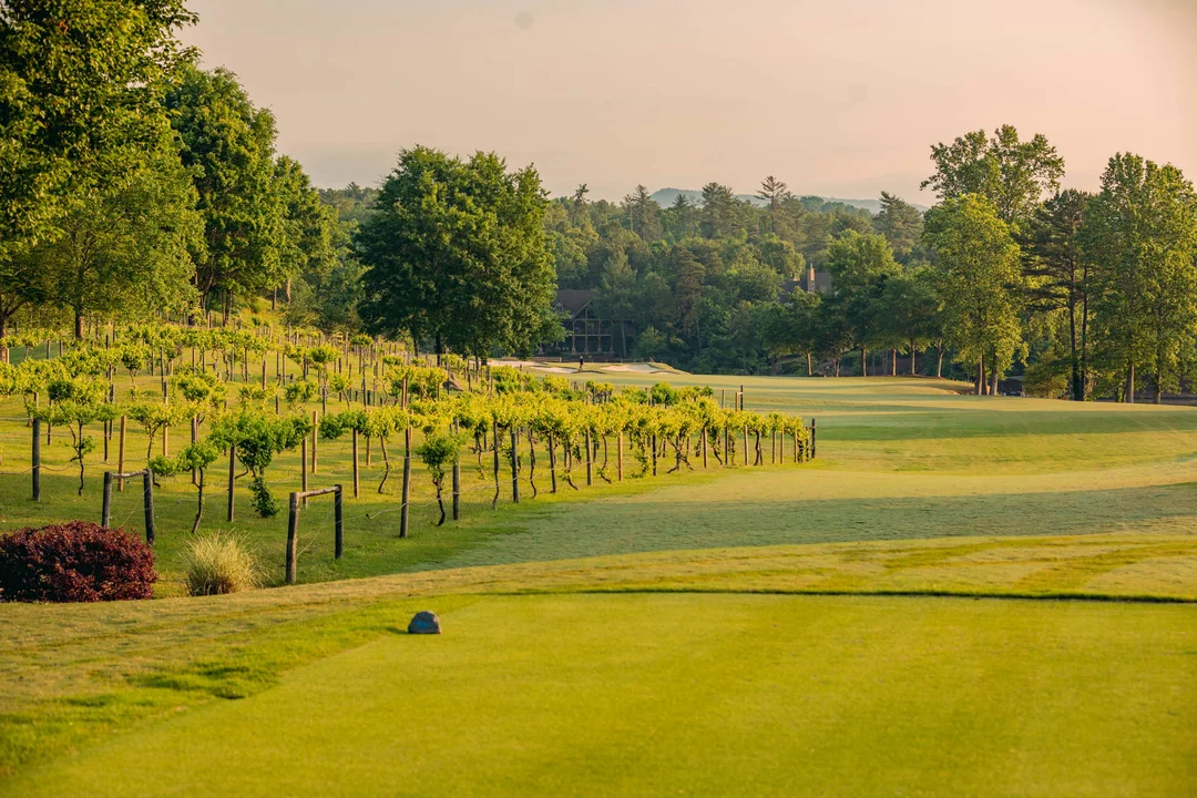 Cliffs at Keowee Vineyards golf course