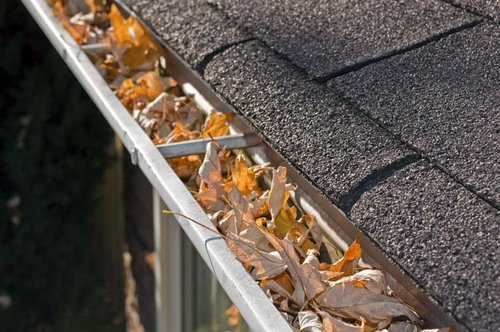 Cleaning out leaves from your gutters is an easy and effective way to keep your home in shape.