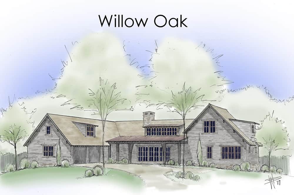 Willow Oak