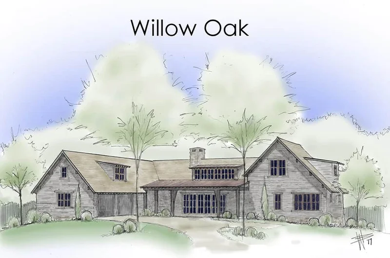 Willow Oak