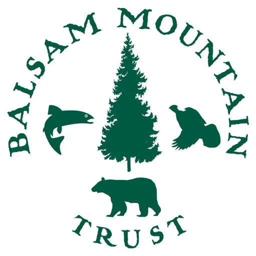 Balsam Mountain Trust logo