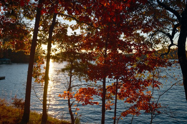 Anthracite Lodge view of lake