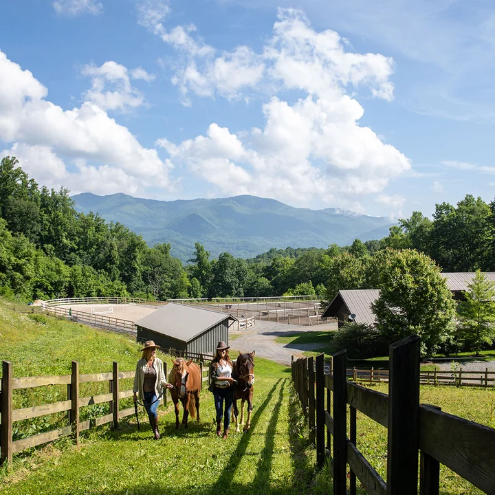 equestrian center at Balsam Mountain Preserve