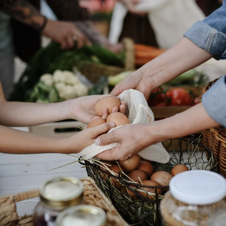 Balsam Mountain Preserve dining